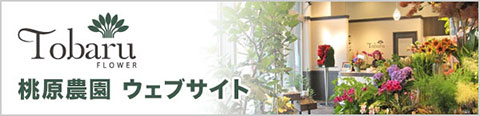 Tobaru FLOWER 桃原農園 ウェブサイト